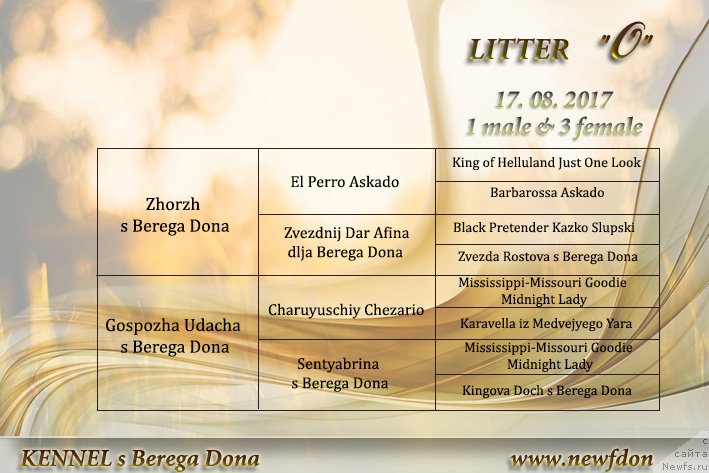 Фотография № 230684