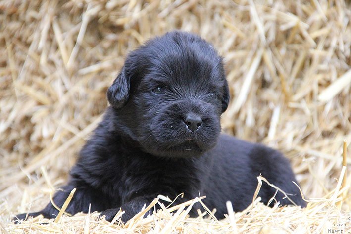 Фотография № 230697