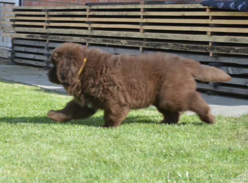 Фотография № 230708