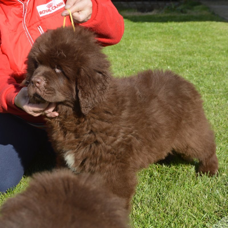 Фотография № 230711