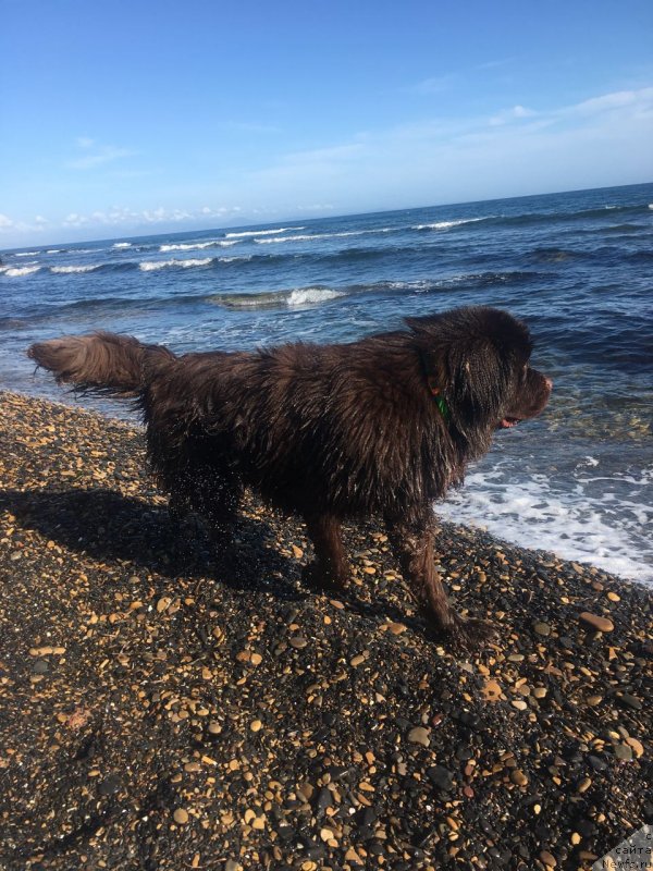 Фотография № 230724