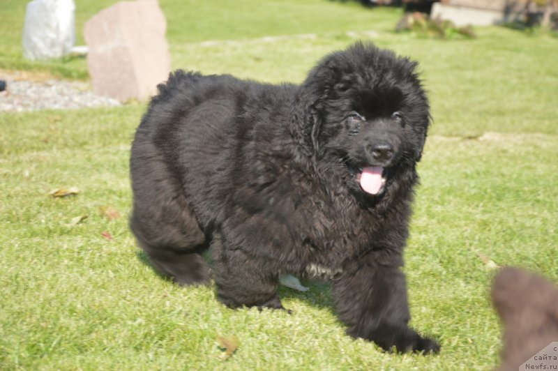 Фотография № 230727