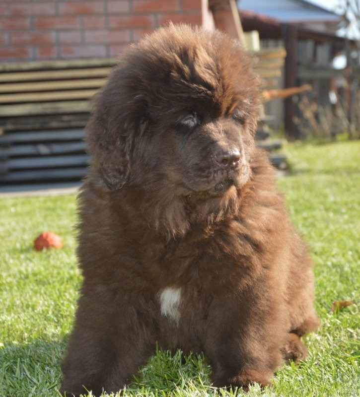 Фотография № 230732