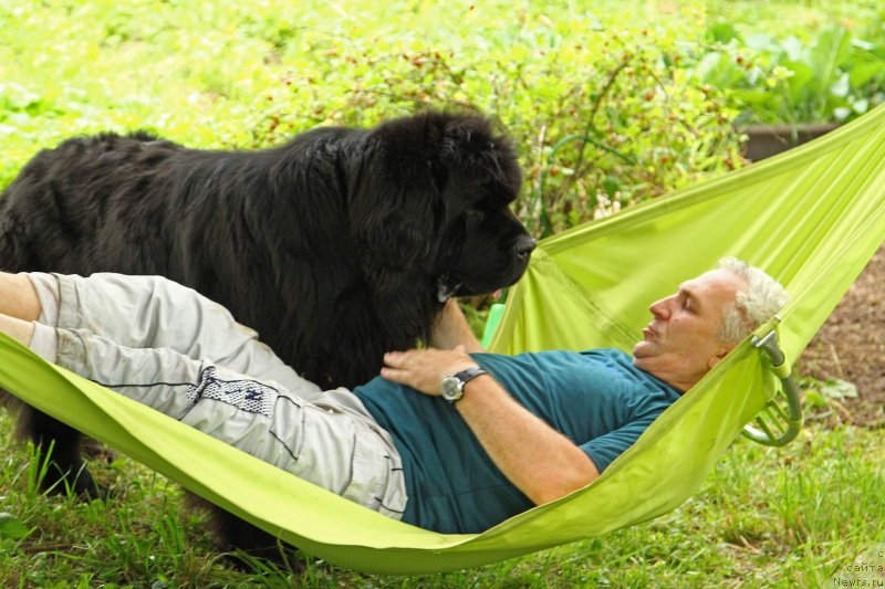 Фотография № 230742