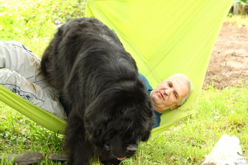 Фотография № 230746