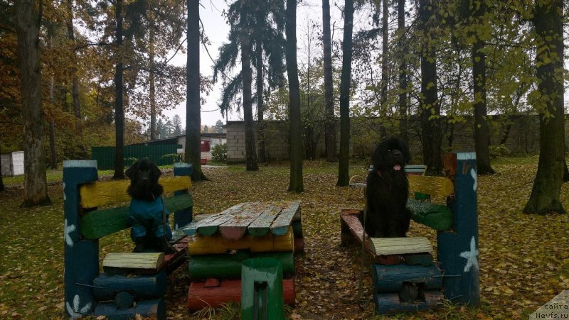 Фотография № 230756