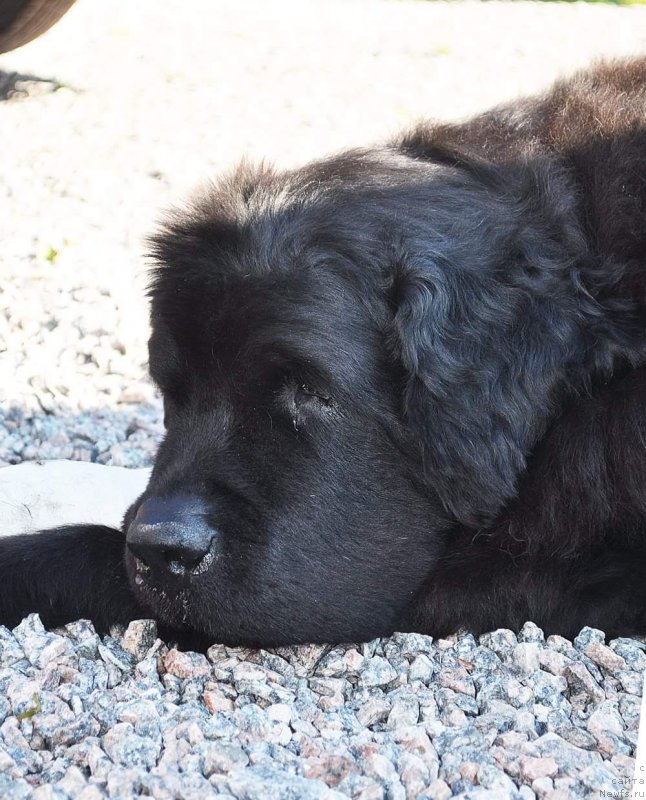 Фотография № 230783