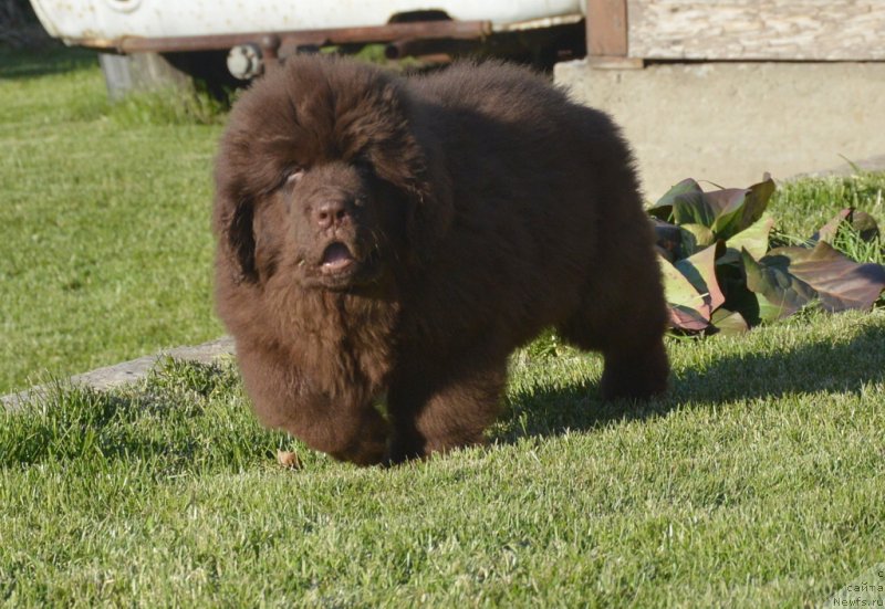 Фотография № 230787