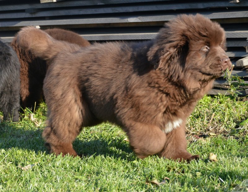 Фотография № 230788