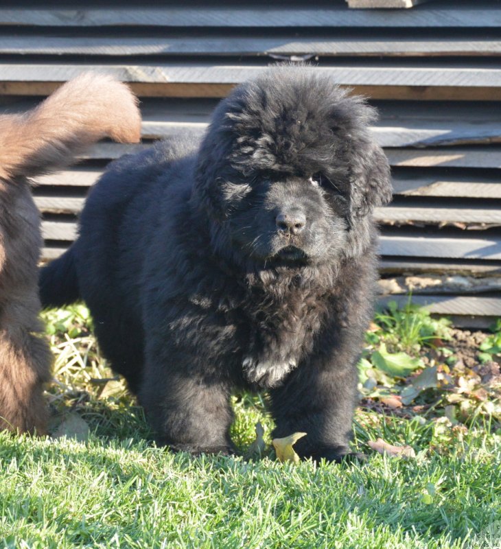 Фотография № 230790