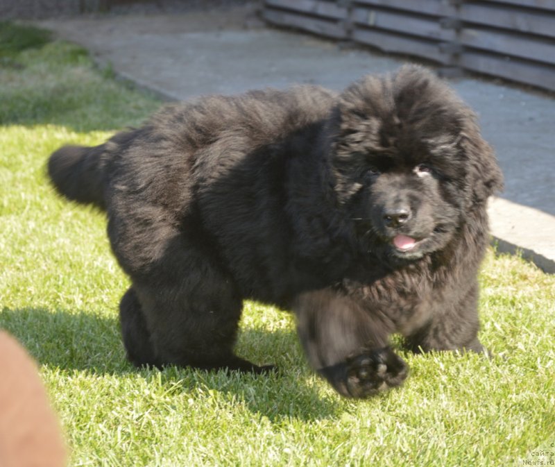 Фотография № 230792