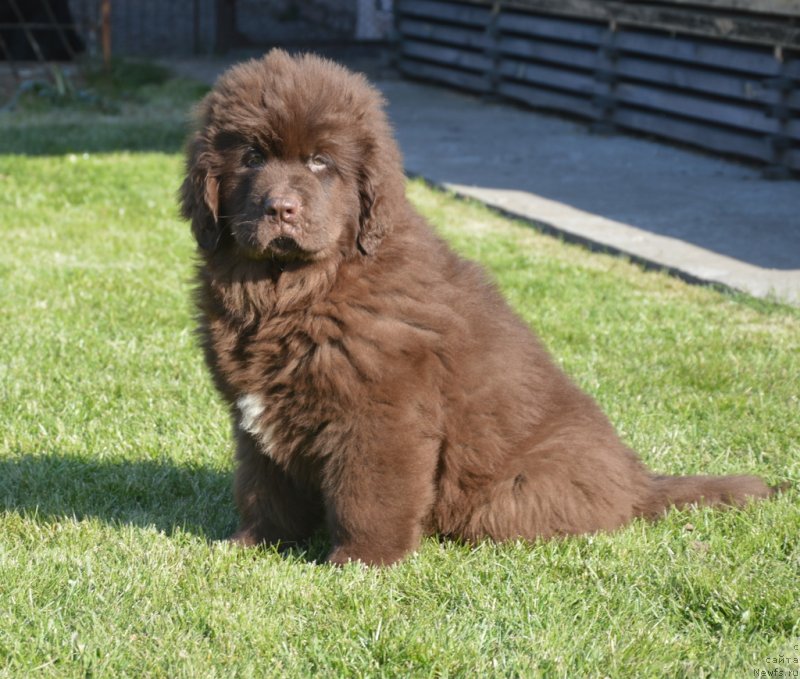 Фотография № 230796