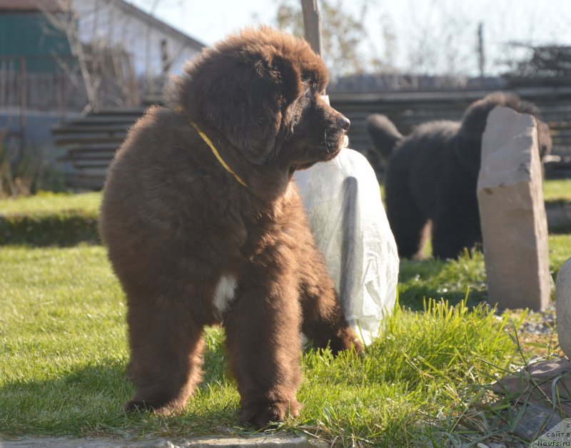 Фотография № 230800