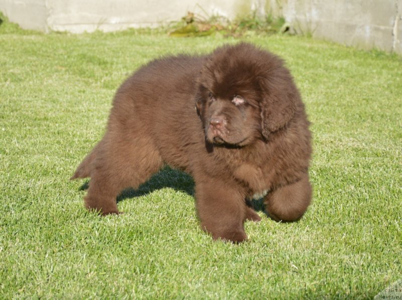 Фотография № 230801