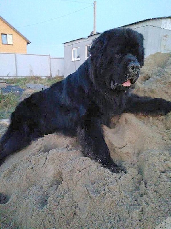 Фотография № 230807