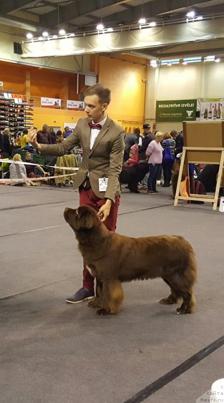 Фотография № 230810