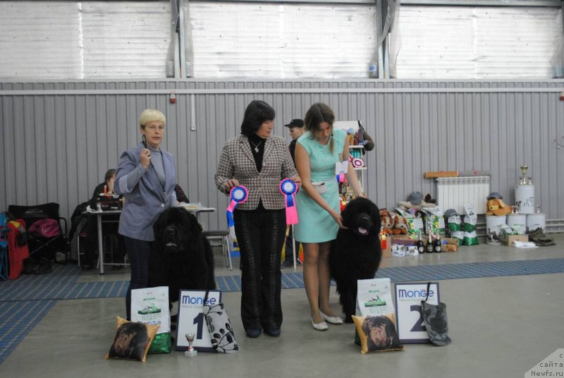 Фото: [d16196] и [d16202]