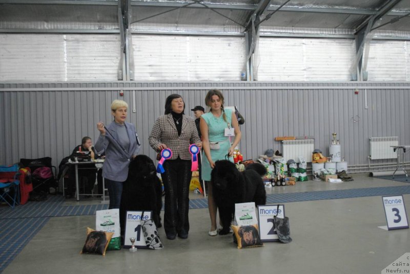 Фото: [d16196] и [d16202]