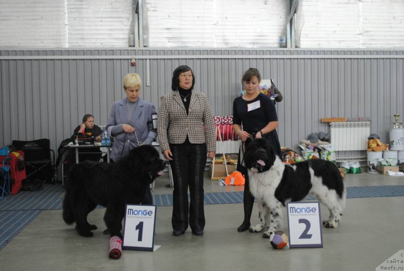 Фото: [d11863] и [d16202]