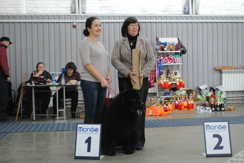 Фотография № 230851