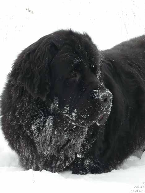 Фотография № 23088