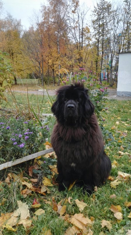 Фотография № 230892