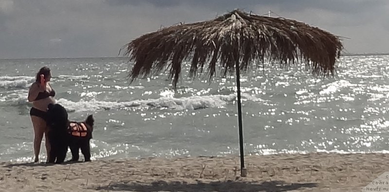 Фотография № 230899