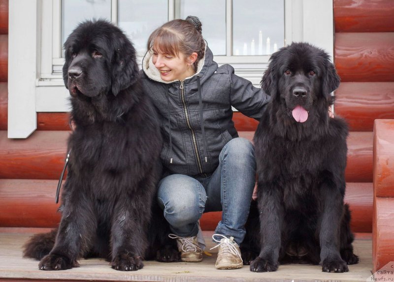 Фотография № 230908