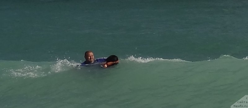 Фотография № 230913