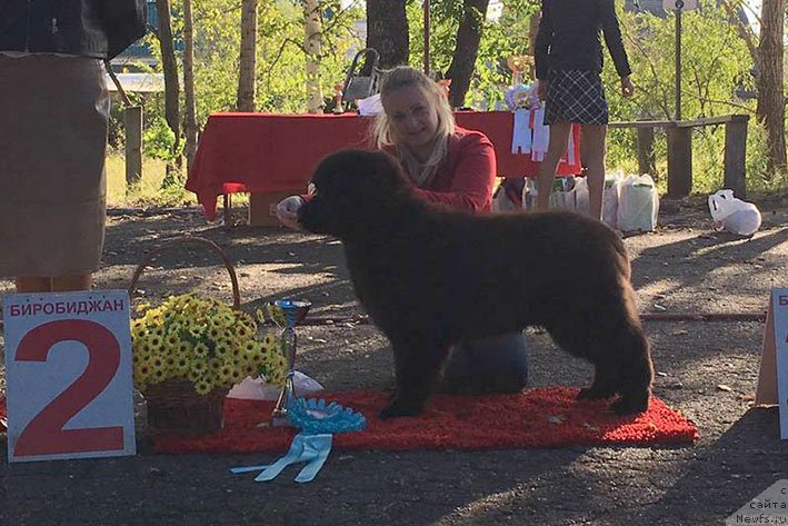 Фотография № 230948