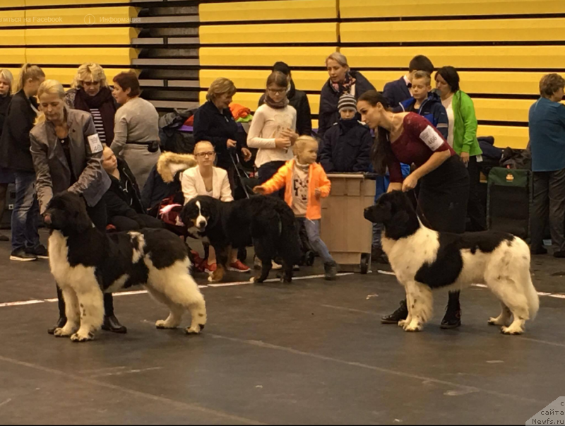 Фотография № 230950