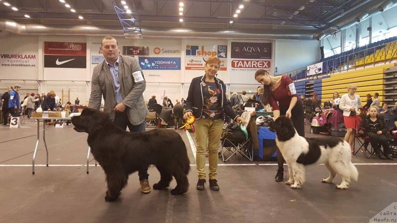 Фотография № 230960