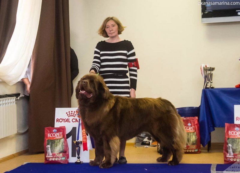 Фотография № 230961