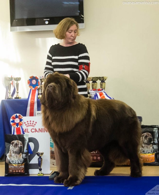 Фотография № 230963