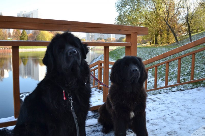 Фотография № 231000