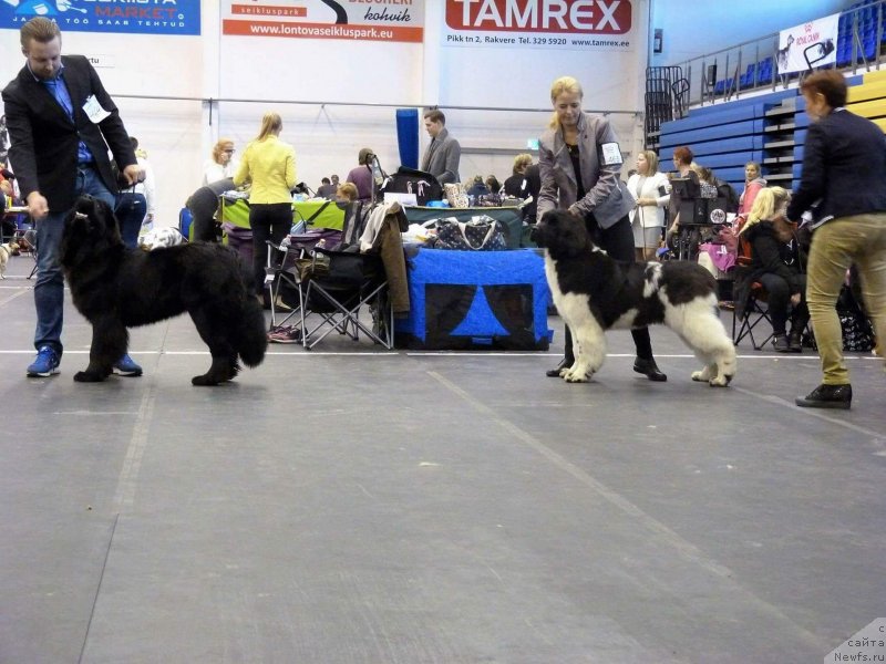 Фотография № 231016