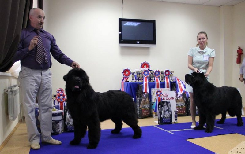 Фотография № 231019