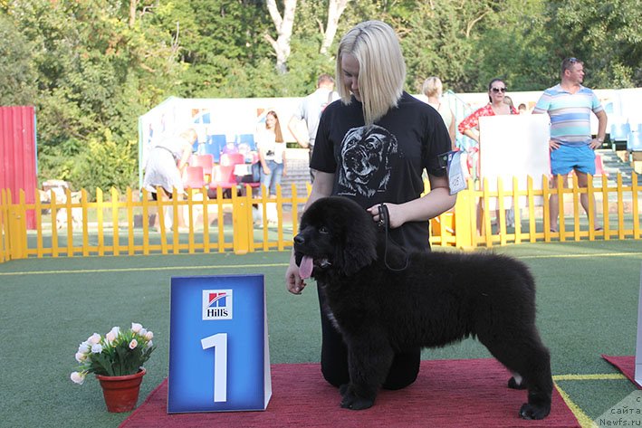 Фотография № 231032