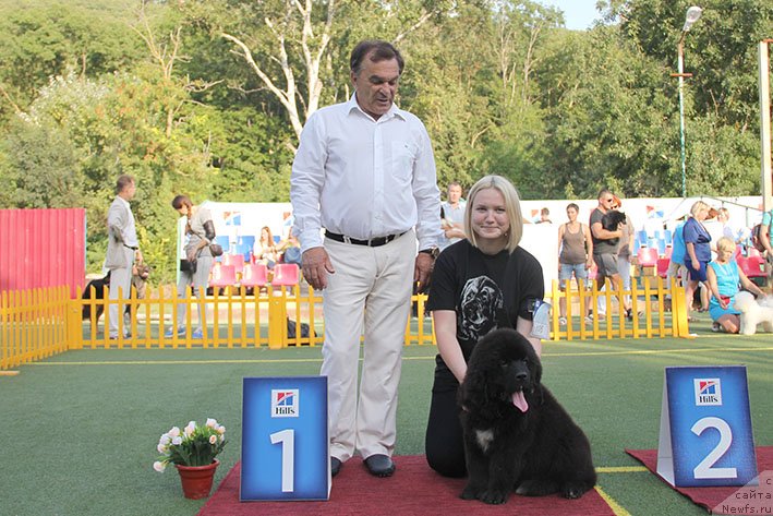 Фотография № 231033