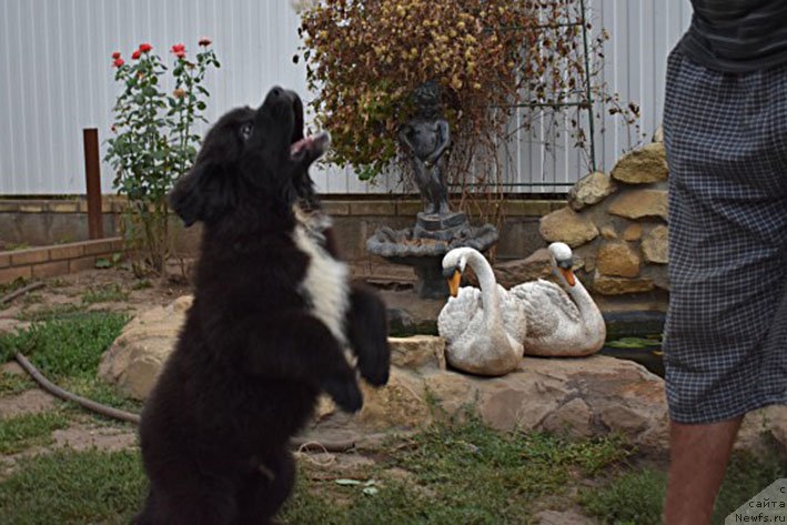 Фотография № 231039