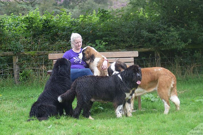 Фотография № 231041