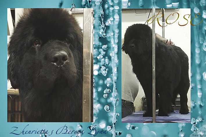 Фотография № 231043