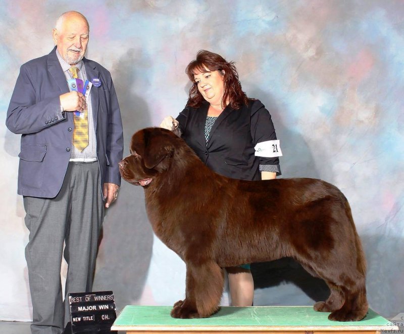 Фотография № 231049