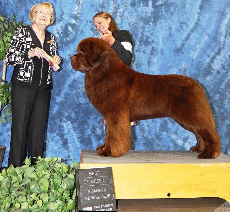 Фотография № 231051