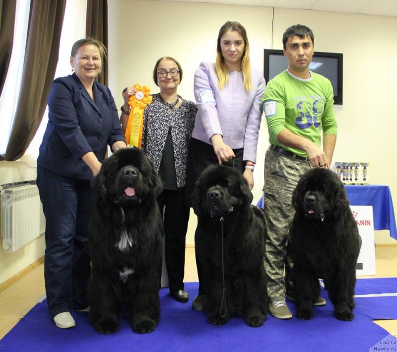 Фотография № 231089