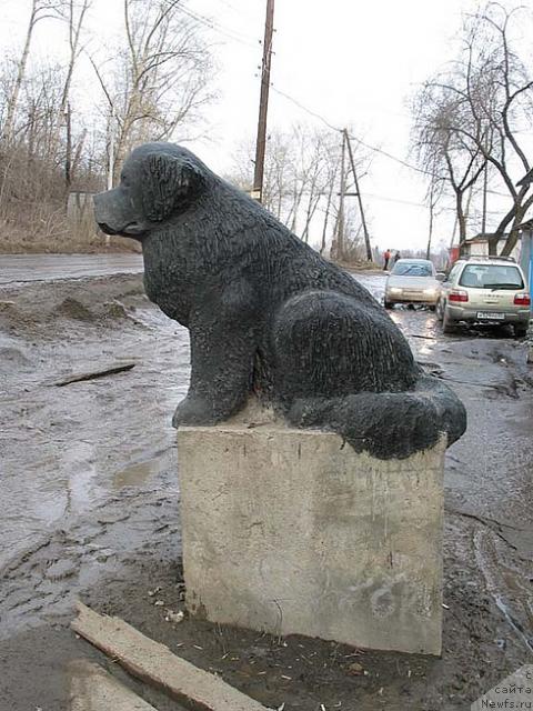 Фотография № 23113