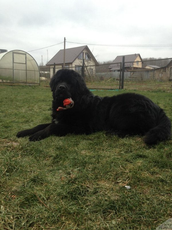 Фотография № 231140