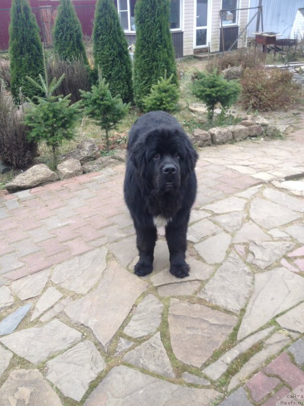 Фотография № 231141