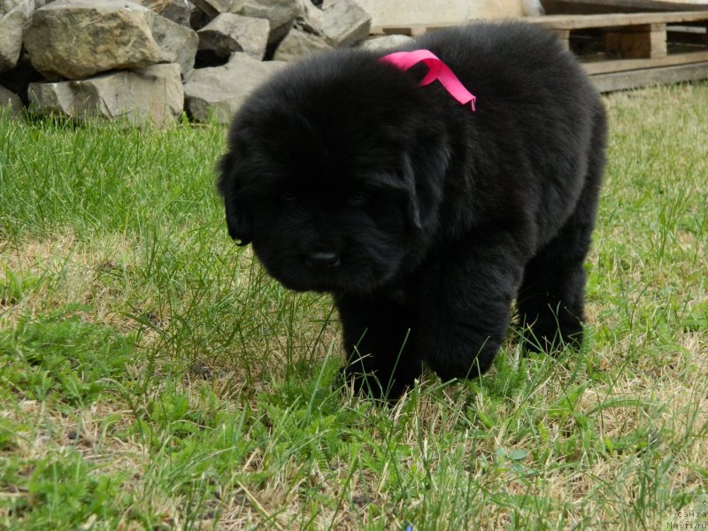 Фото: Наши дети