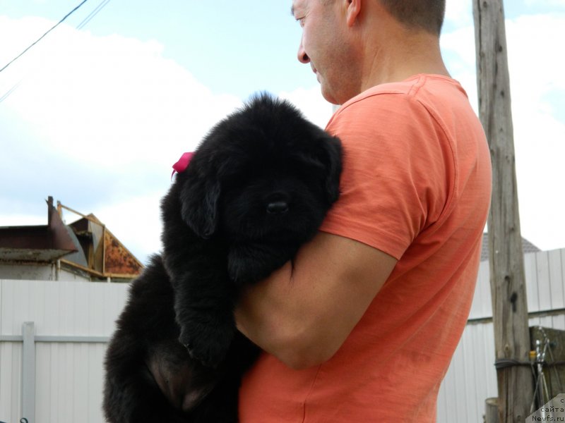 Фото: Наши дети